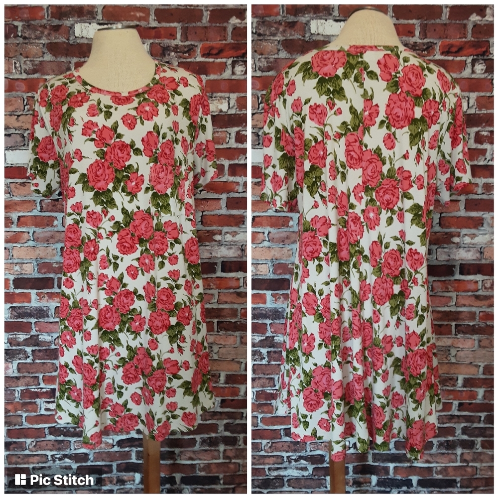 Lularoe dress.